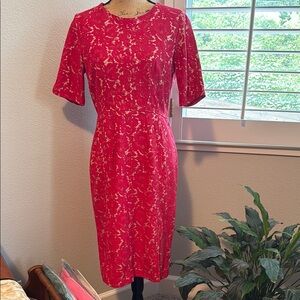 Elegant Pink Lace Dress